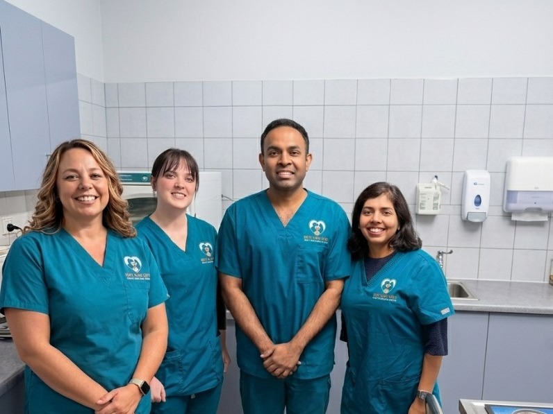 Best Care Vets team