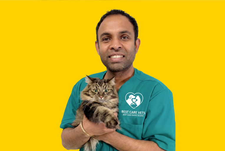 Dr. Damitha