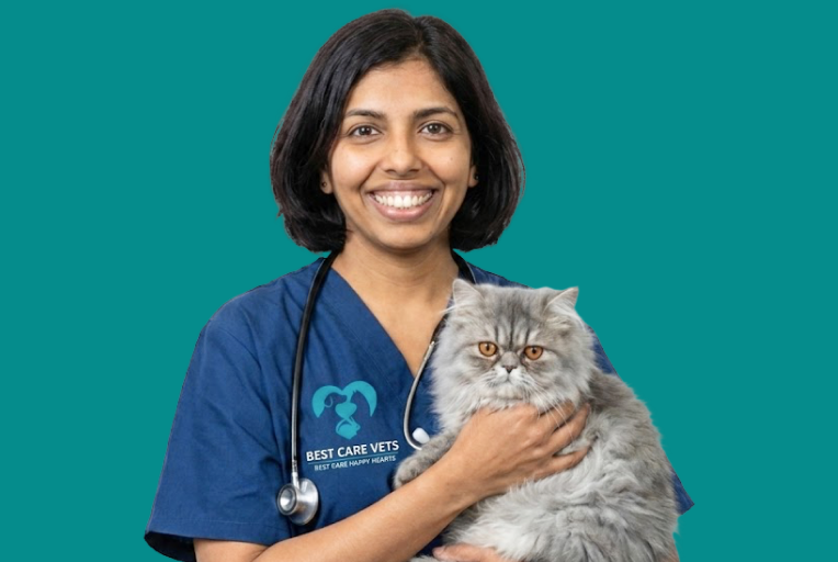 Dr. Pamu