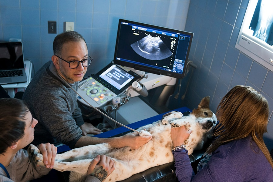 Diagnostic Imaging