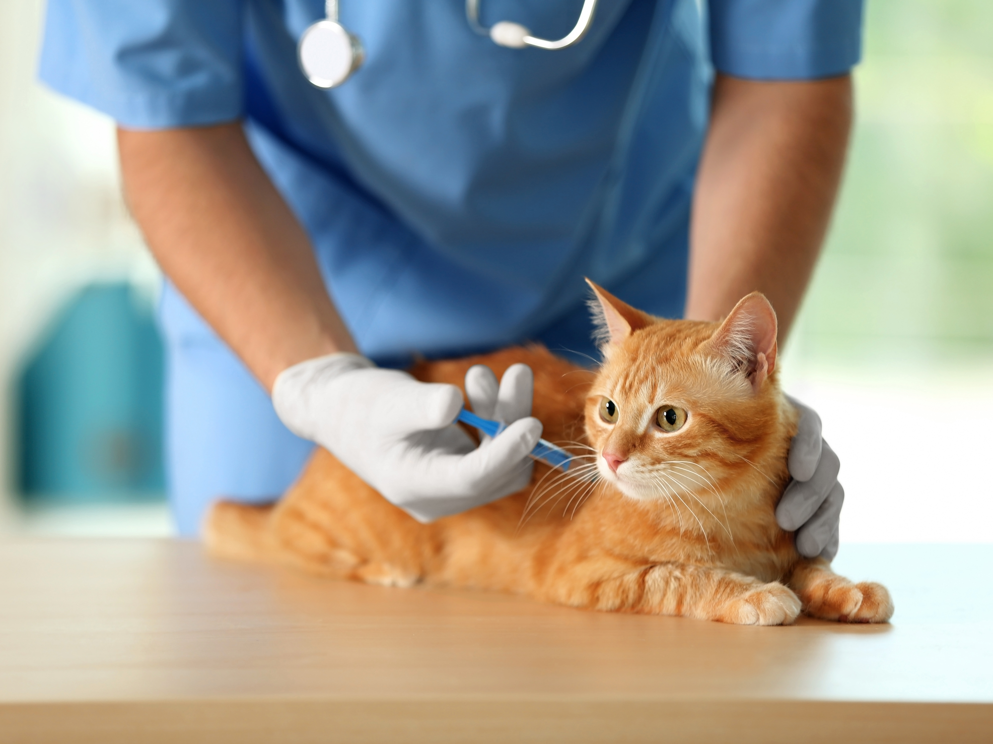 Vaccinations
