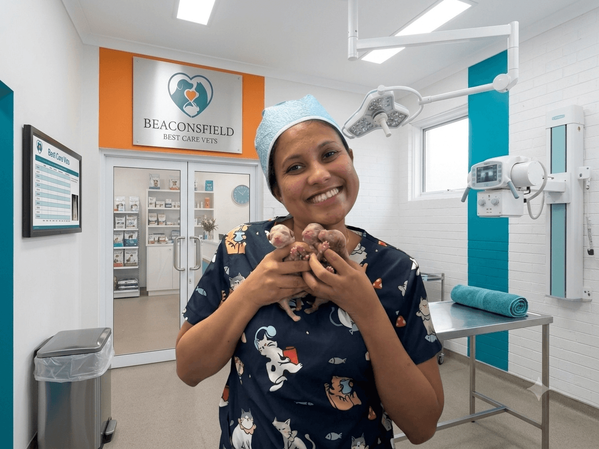 Dr. Sandu